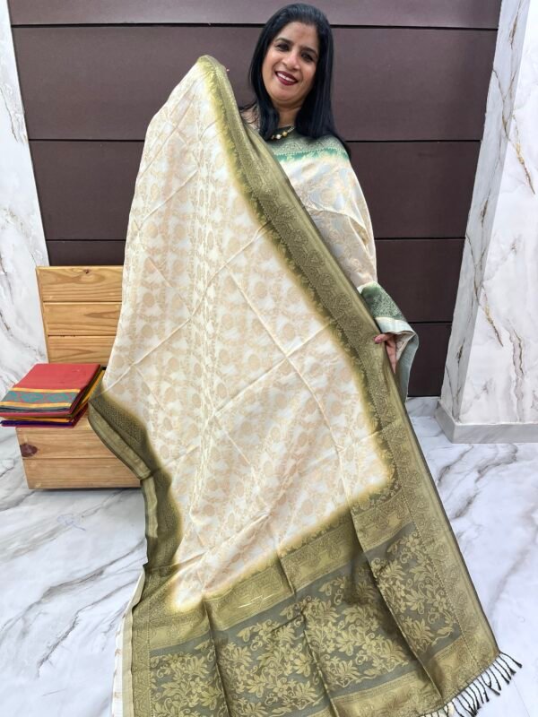 Semi Banarasi silk sarees-SRS16383 - Image 2