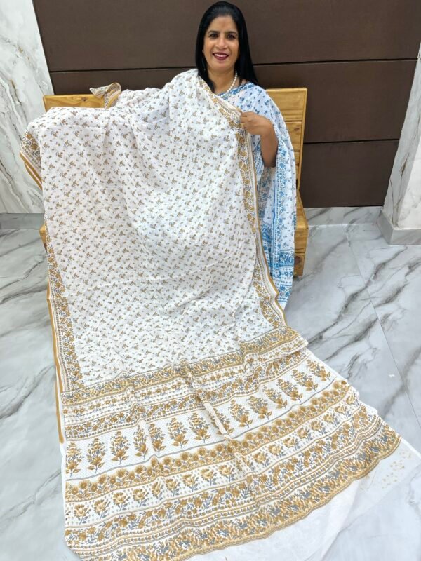 Chiffon sarees-SRS11003 - Image 3