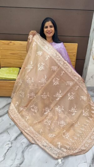 organza sarees-Srs10105